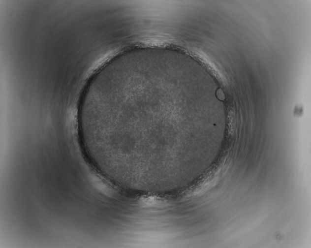 X0000102380634200808151858