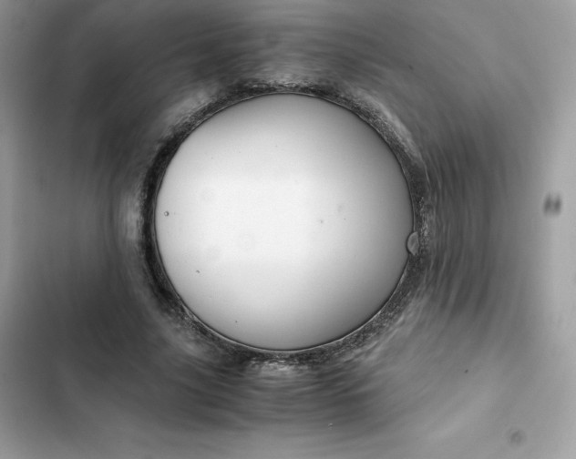 X0000102380635200808151858