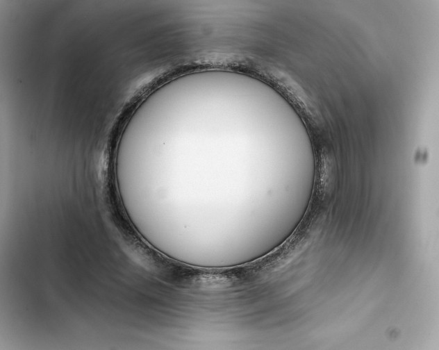 X0000102380636200808151858