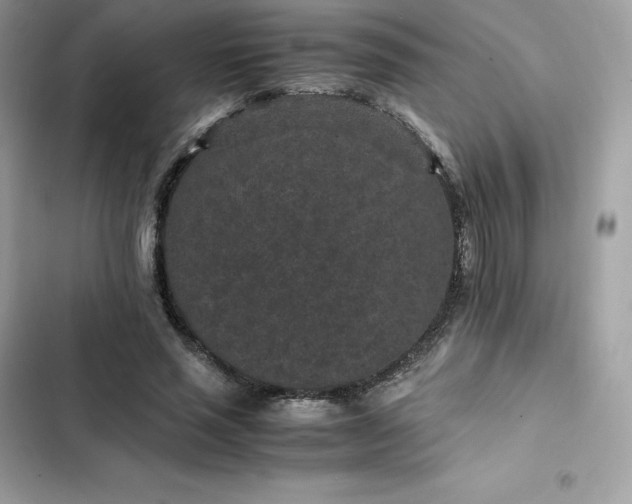 X0000102380637200808151858