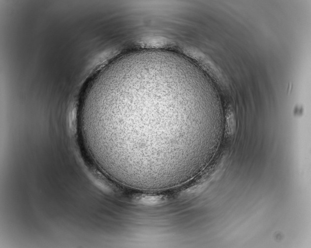 X0000102380638200808151858