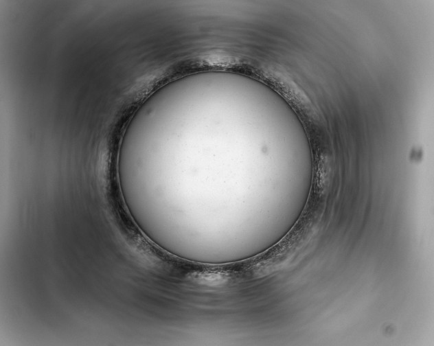 X0000102380639200808151858