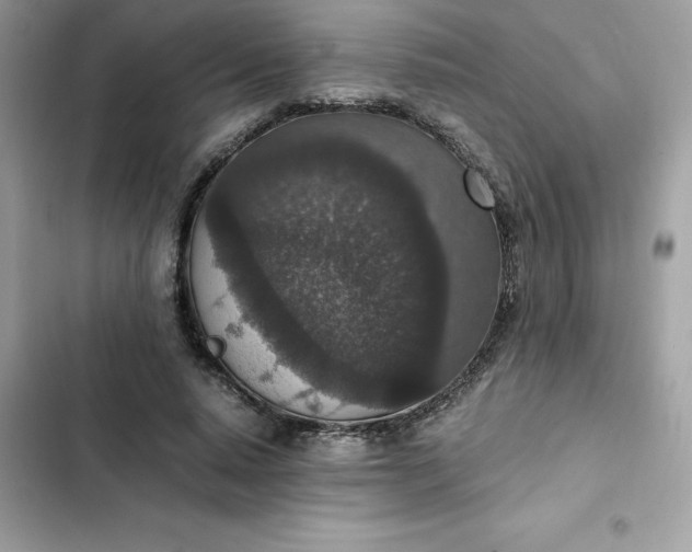 X0000102380640200808151858