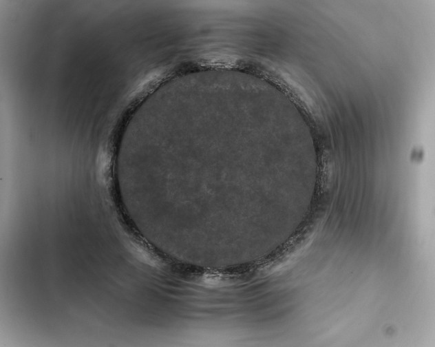 X0000102380641200808151858