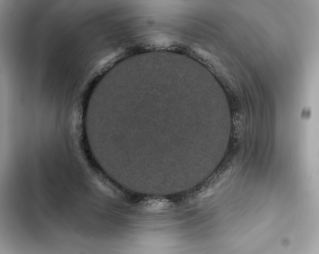 X0000102380642200808151858