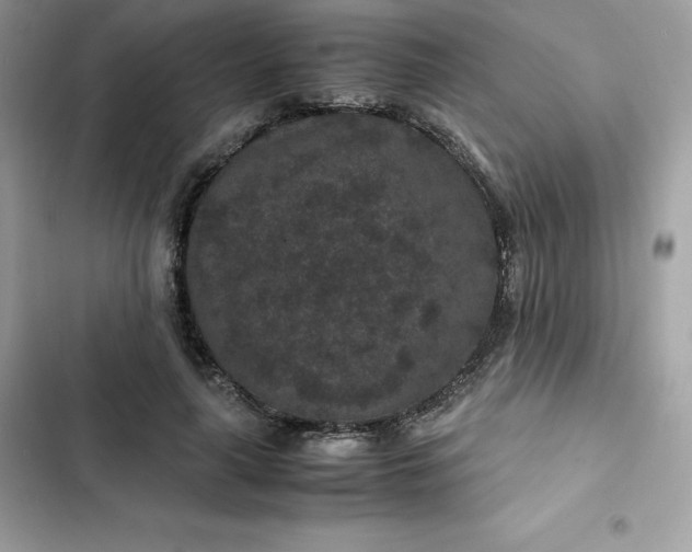 X0000102380643200808151858