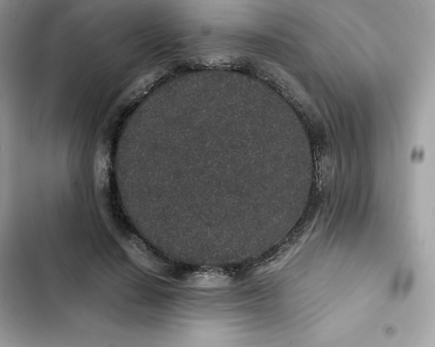 X0000102380644200808151858