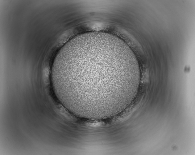 X0000102380646200808151858