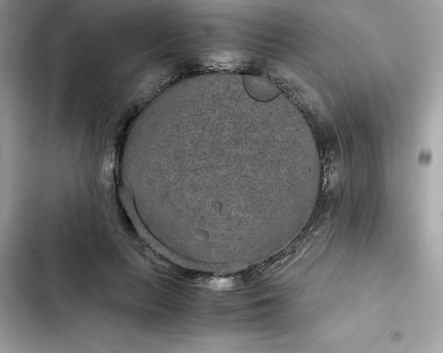 X0000102380647200808151858