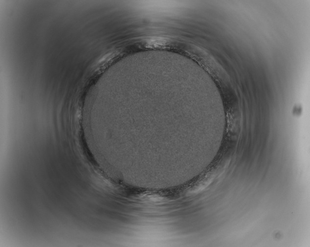 X0000102380648200808151858