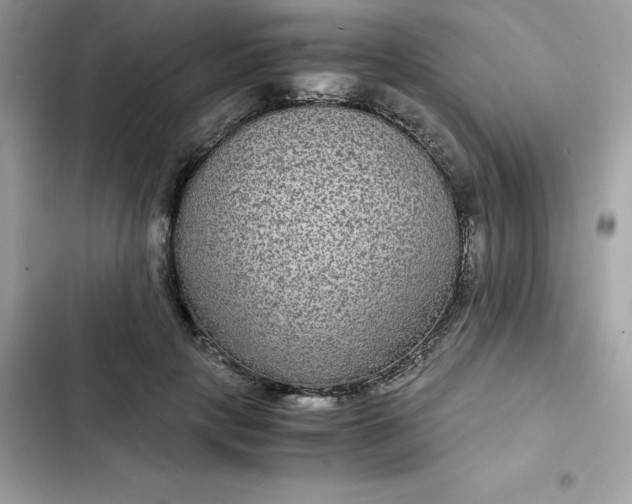 X0000102380649200808151859