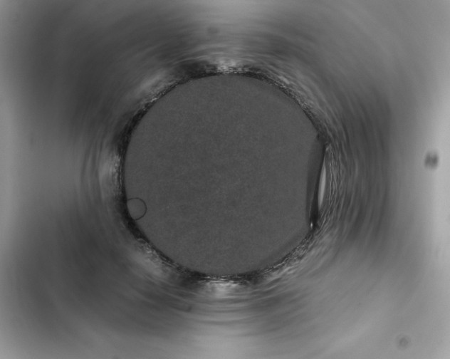 X0000102380650200808151859