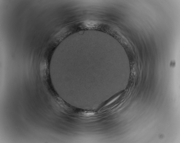 X0000102380651200808151859