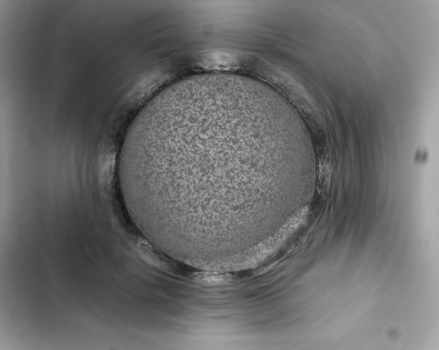 X0000102380652200808151859