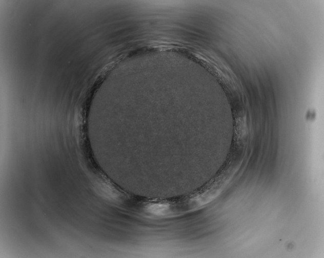 X0000102380653200808151859