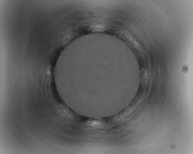 X0000102380655200808151859