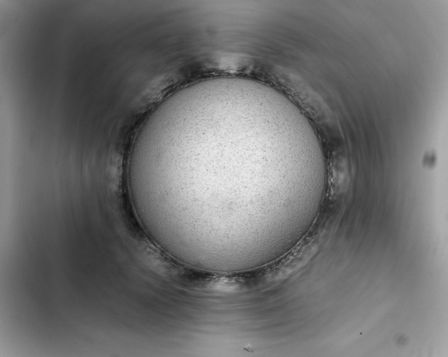 X0000102380656200808151859