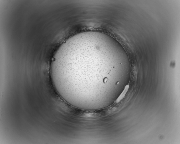 X0000102380657200808151859