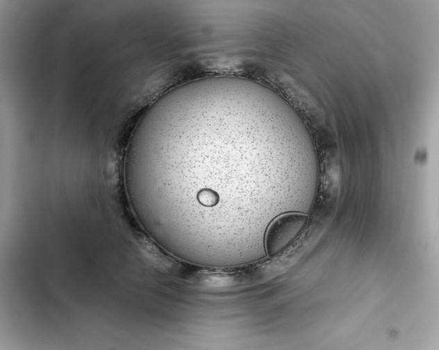 X0000102380658200808151859