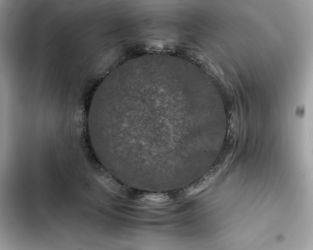 X0000102380659200808151859