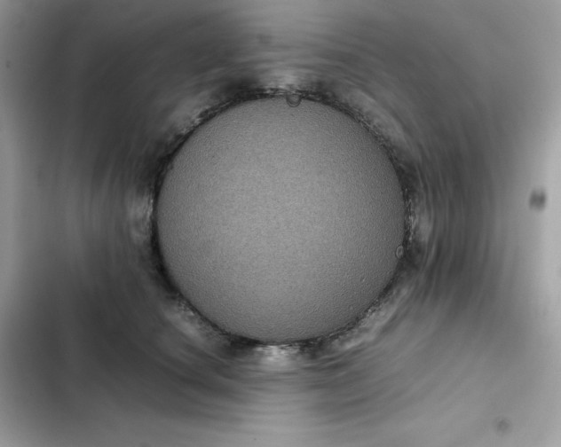 X0000102380660200808151859