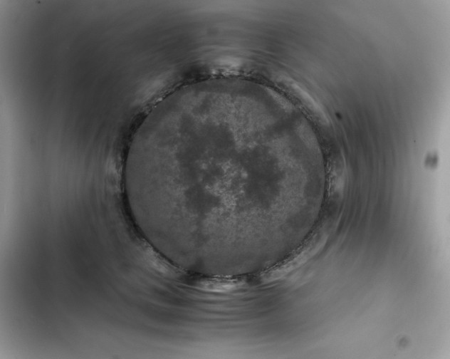 X0000102380661200808151859