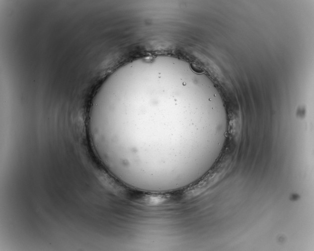 X0000102380662200808151859