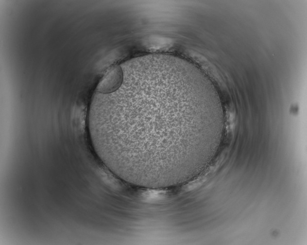 X0000102380664200808151859