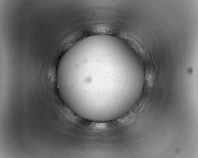 X0000102380665200808151859