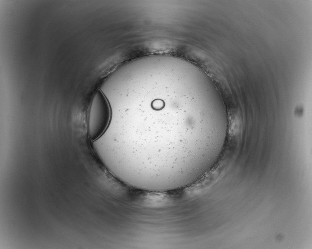 X0000102380666200808151859