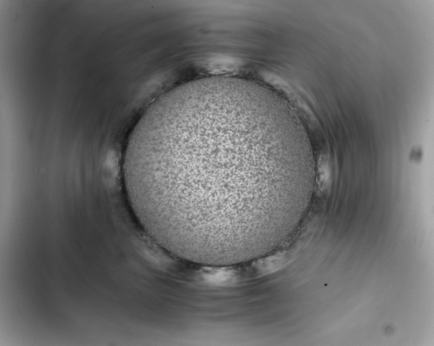 X0000102380667200808151859