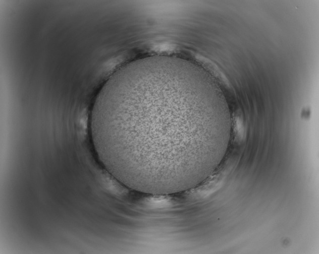 X0000102380668200808151859