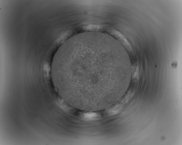 X0000102380669200808151859