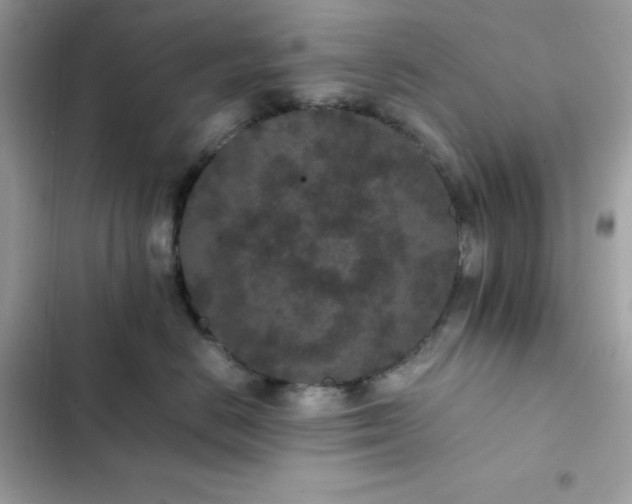 X0000102380670200808151859