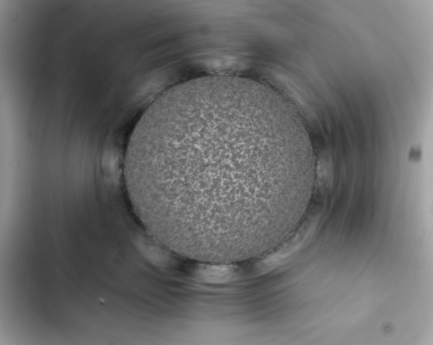 X0000102380671200808151859