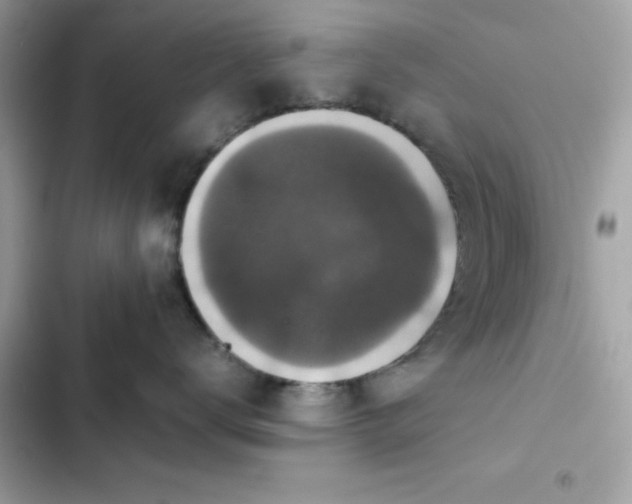 X0000102380672200808151859