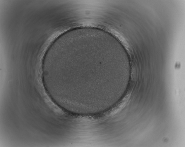 X0000102380673200808151858