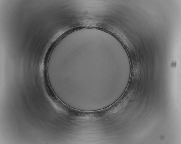 X0000102380674200808151858