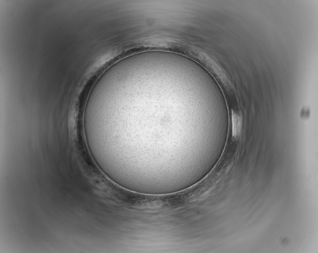 X0000102380675200808151858