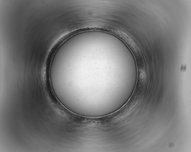 X0000102380676200808151858