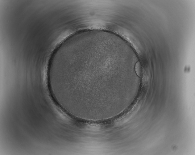 X0000102380677200808151858