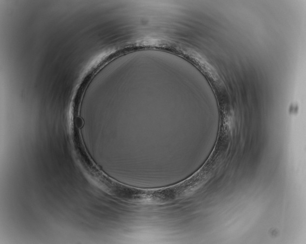 X0000102380678200808151858