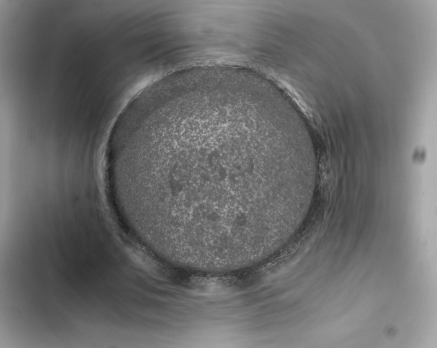 X0000102380679200808151858