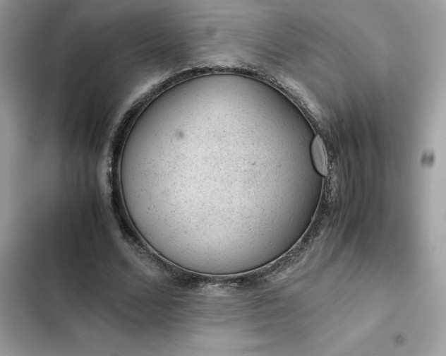 X0000102380680200808151858