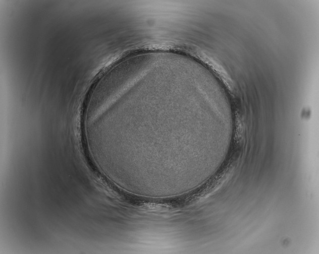 X0000102380681200808151858