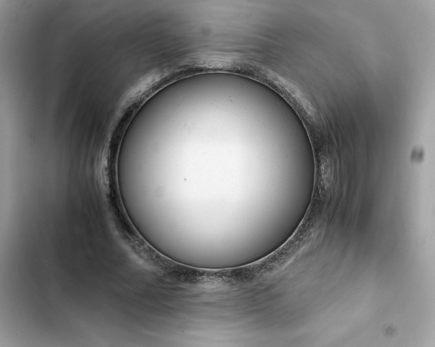 X0000102380682200808151858