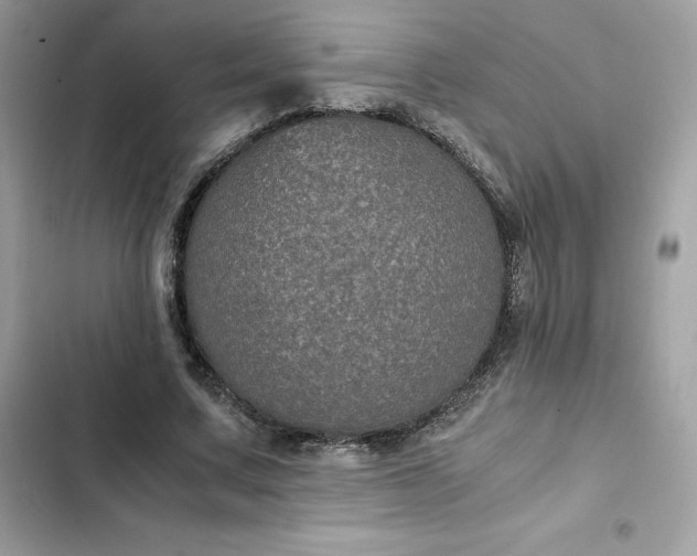 X0000102380683200808151858