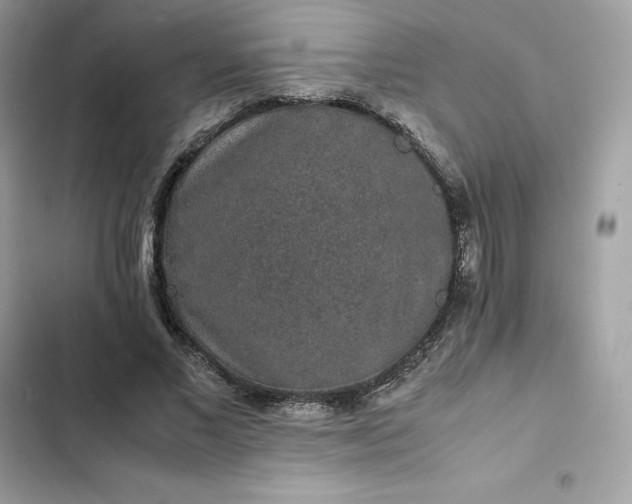 X0000102380685200808151858