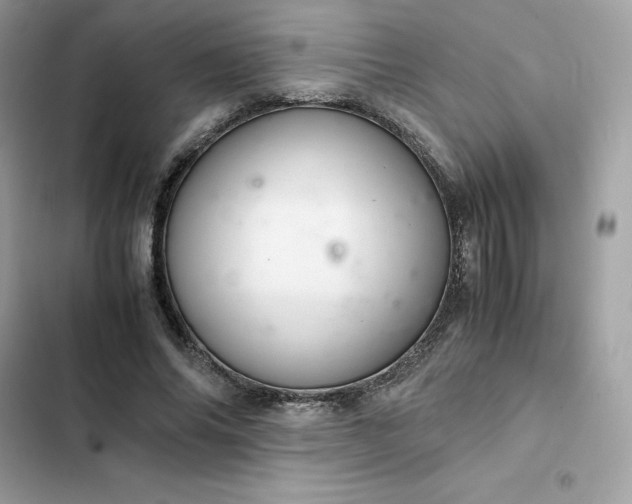 X0000102380686200808151858