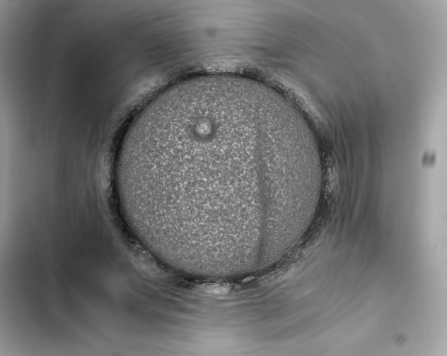 X0000102380687200808151858